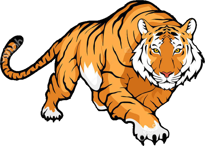 :tiger