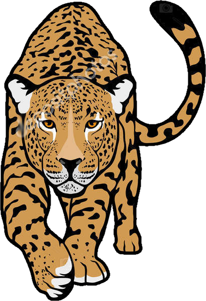 :jaguar