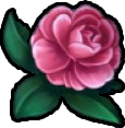 :pinkrose